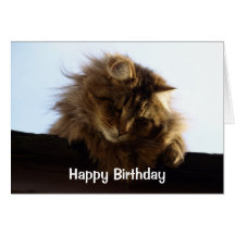 Tarjeta de cumpleaños de pelo largo del gato de Ta