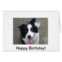 Tarjeta de cumpleaños del border collie