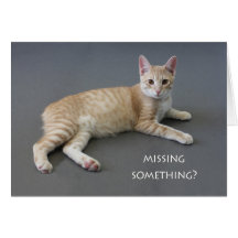 Tarjeta de cumpleaños del gato de la Isla de Man p