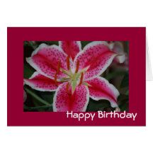 Tarjeta de cumpleaños del lirio del Stargazer