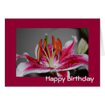 Tarjeta de cumpleaños del lirio del Stargazer