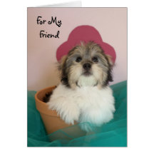 Tarjeta de cumpleaños del perrito del amigo