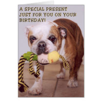 Tarjeta de cumpleaños del perro de Bull tarjetas