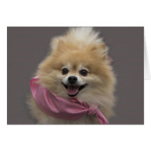 Tarjeta de cumpleaños del perro de Pomeranian por 