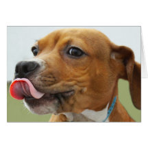 Tarjeta de cumpleaños del perro por el foco para u