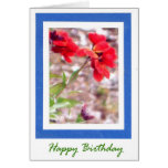 Tarjeta de cumpleaños del Wallflower