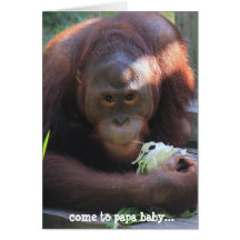¡Tarjeta de cumpleaños divertida, beso del cumplea