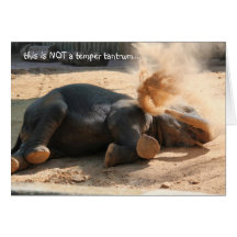 ¡Tarjeta de cumpleaños divertida de Elephany, no m