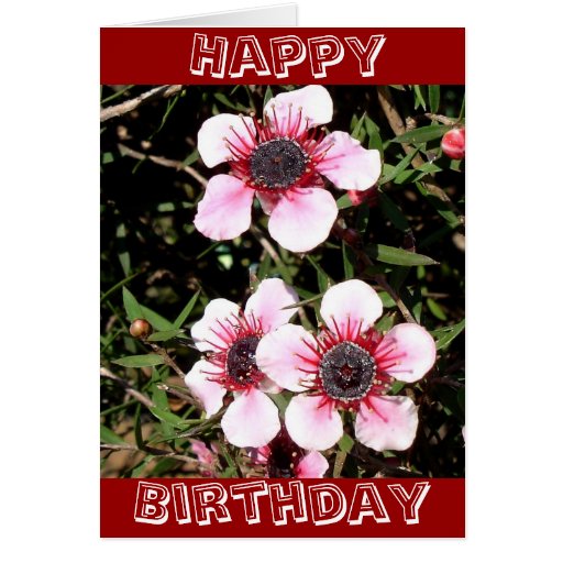 Tarjeta de cumpleaños exótica de las flores