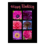 Tarjeta de cumpleaños - flores púrpuras rosadas