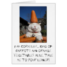 tarjeta de cumpleaños linda del gatito divertida