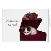 Tarjeta de cumpleaños loca de señora Cute del gato