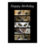 Tarjeta de cumpleaños - ojos de los animales