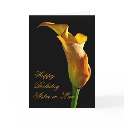 Feliz cumpleaños - a mi estimada cuñada felicitaciones de Zazzle.es