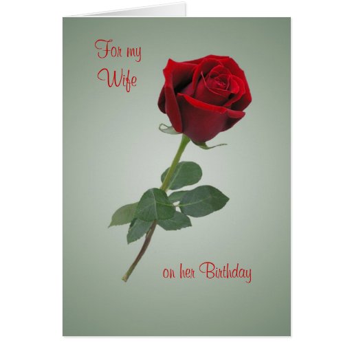 Tarjeta de cumpleaños para la esposa con la rosa d | Zazzle