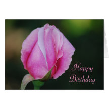 Tarjeta de cumpleaños rosada del capullo de rosa