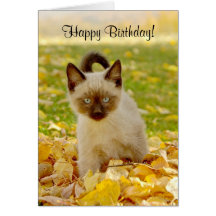 Tarjeta de cumpleaños Siamesa-x del gatito