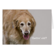 Tarjeta de cumpleaños vieja del golden retriever d