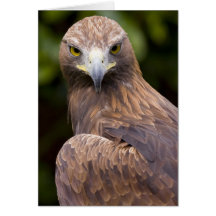 Tarjeta de Eagle de oro