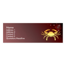 Tarjeta de encargo del perfil de la muestra del zo plantillas de tarjetas personales