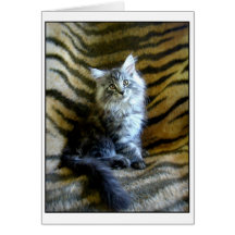 Tarjeta de felicitación adorable del gatito del Co