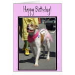 Tarjeta de felicitación americana del dogo del fel