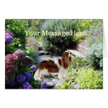 Tarjeta de felicitación arrogante del perro de agu