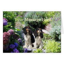Tarjeta de felicitación arrogante del perro de agu