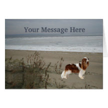 Tarjeta de felicitación arrogante del perro de agu