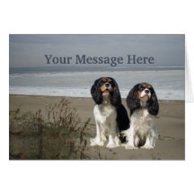 Tarjeta de felicitación arrogante del perro de agu