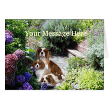 Tarjeta de felicitación arrogante del perro de agu