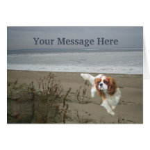 Tarjeta de felicitación arrogante del perro de agu