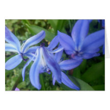 Tarjeta de felicitación azul de Bell