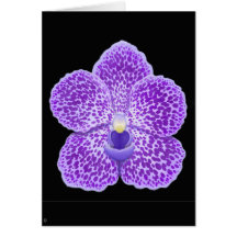 Tarjeta de felicitación azul de la flor de la orqu