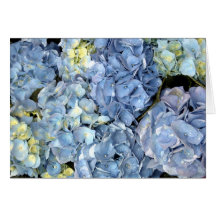 Tarjeta de felicitación azul de la flor del Hydran