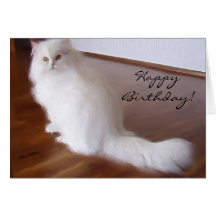 Tarjeta de felicitación blanca del gato persa del 