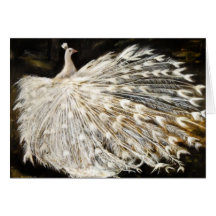 Tarjeta de felicitación blanca del pavo real