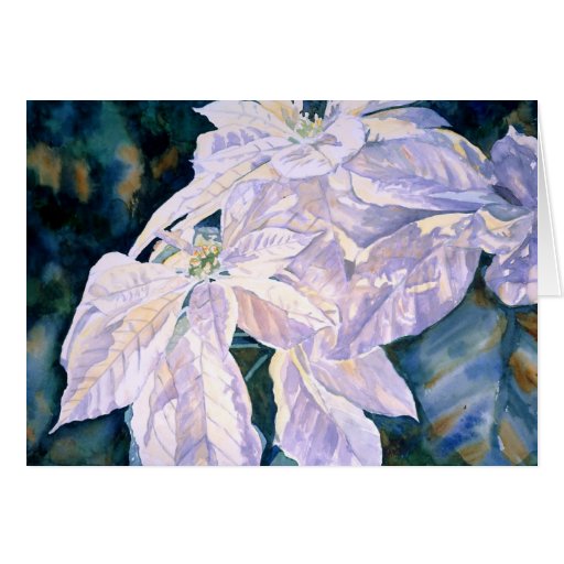 Tarjeta de felicitación blanca del Poinsettia