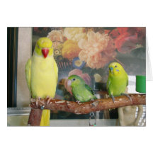 Tarjeta de felicitación:  Daffy y pequeños pájaros
