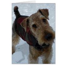 Tarjeta de felicitación de Airedale Terrier