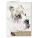Tarjeta de felicitación de Bulldogge del inglés de
