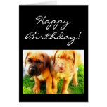 Tarjeta de felicitación de Dogue de Bordeaux del f