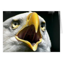 Tarjeta de felicitación de Eagle Screach