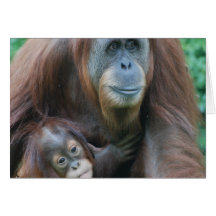 Tarjeta de felicitación de la familia del orangutá