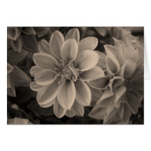 Tarjeta de felicitación de la flor
