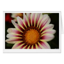 Tarjeta de felicitación de la flor