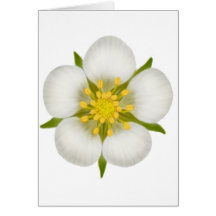 Tarjeta de felicitación de la flor de la fresa