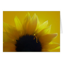 Tarjeta de felicitación de la flor del amarillo de