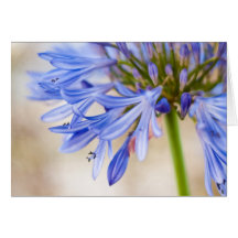 Tarjeta de felicitación de la flor del amor