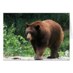 Tarjeta de felicitación de la fotografía del oso